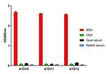 BSA Antibody in ELISA (ELISA)