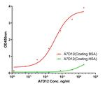 BSA Antibody in ELISA (ELISA)