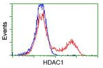 HDAC1 Antibody in Flow Cytometry (Flow)