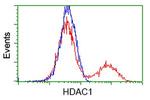 HDAC1 Antibody in Flow Cytometry (Flow)