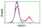 HDAC1 Antibody in Flow Cytometry (Flow)