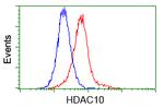 HDAC10 Antibody in Flow Cytometry (Flow)