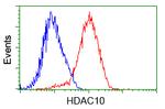 HDAC10 Antibody in Flow Cytometry (Flow)