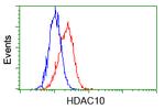 HDAC10 Antibody in Flow Cytometry (Flow)