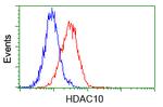 HDAC10 Antibody in Flow Cytometry (Flow)