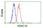 HDAC10 Antibody in Flow Cytometry (Flow)