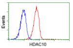 HDAC10 Antibody in Flow Cytometry (Flow)