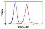 HDAC10 Antibody in Flow Cytometry (Flow)
