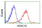 HDAC10 Antibody in Flow Cytometry (Flow)
