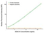HDAC10 Antibody in Luminex (Luminex)