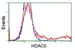 HDAC6 Antibody in Flow Cytometry (Flow)