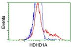 HDHD1 Antibody in Flow Cytometry (Flow)