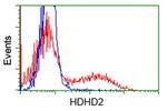 HDHD2 Antibody in Flow Cytometry (Flow)