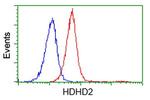 HDHD2 Antibody in Flow Cytometry (Flow)