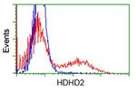 HDHD2 Antibody in Flow Cytometry (Flow)