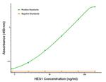 HES1 Antibody in ELISA (ELISA)