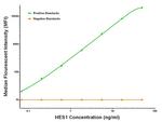 HES1 Antibody in Luminex (Luminex)
