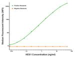 HES1 Antibody in Luminex (Luminex)