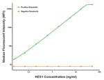 HES1 Antibody in Luminex (Luminex)