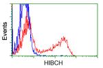 HIBCH Antibody in Flow Cytometry (Flow)