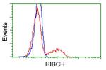 HIBCH Antibody in Flow Cytometry (Flow)