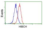 HIBCH Antibody in Flow Cytometry (Flow)