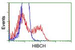 HIBCH Antibody in Flow Cytometry (Flow)