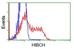HIBCH Antibody in Flow Cytometry (Flow)