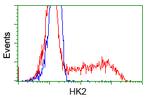 HK2 Antibody in Flow Cytometry (Flow)