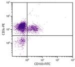 CD103 Monoclonal Antibody (2E7), FITC