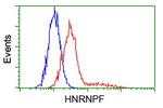 HNRNPF Antibody in Flow Cytometry (Flow)