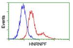 HNRNPF Antibody in Flow Cytometry (Flow)