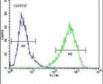 HOMEZ Antibody in Flow Cytometry (Flow)