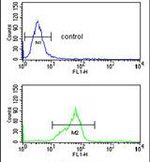 HOXC6 Antibody in Flow Cytometry (Flow)