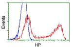 HP Antibody in Flow Cytometry (Flow)