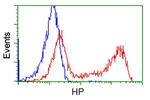 HP Antibody in Flow Cytometry (Flow)