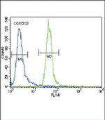 HRX Antibody in Flow Cytometry (Flow)
