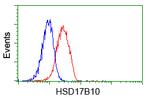 HSD17B10 Antibody in Flow Cytometry (Flow)