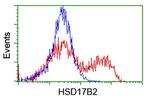 HSD17B2 Antibody in Flow Cytometry (Flow)