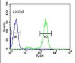 HSP90 beta Antibody in Flow Cytometry (Flow)