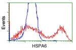 HSPA6 Antibody in Flow Cytometry (Flow)