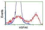 HSPA6 Antibody in Flow Cytometry (Flow)