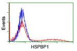 HSPBP1 Antibody in Flow Cytometry (Flow)