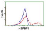 HSPBP1 Antibody in Flow Cytometry (Flow)