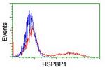 HSPBP1 Antibody in Flow Cytometry (Flow)