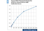 NGAL Antibody in ELISA (ELISA)