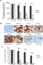 Hepatitis C Virus Core Antigen Antibody in Immunohistochemistry (IHC)