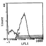 I-Ak Antibody in Flow Cytometry (Flow)