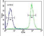 IBTK Antibody in Flow Cytometry (Flow)