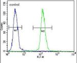 IPCEF1 Antibody in Flow Cytometry (Flow)